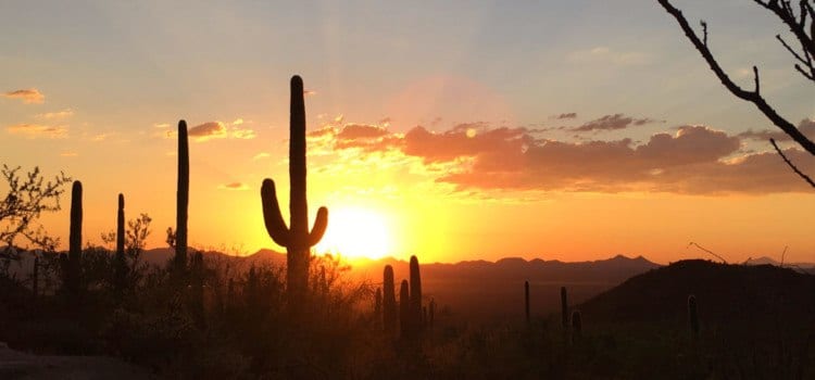 Arizona