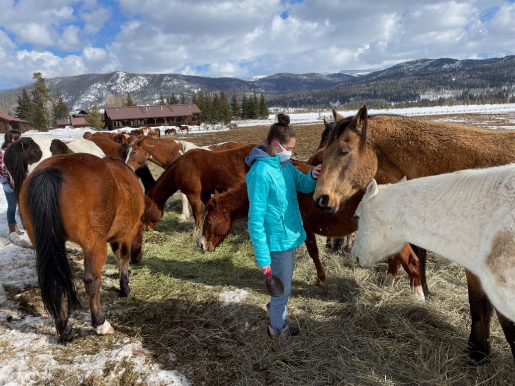 Girl in blue coat petting horses in paddock
