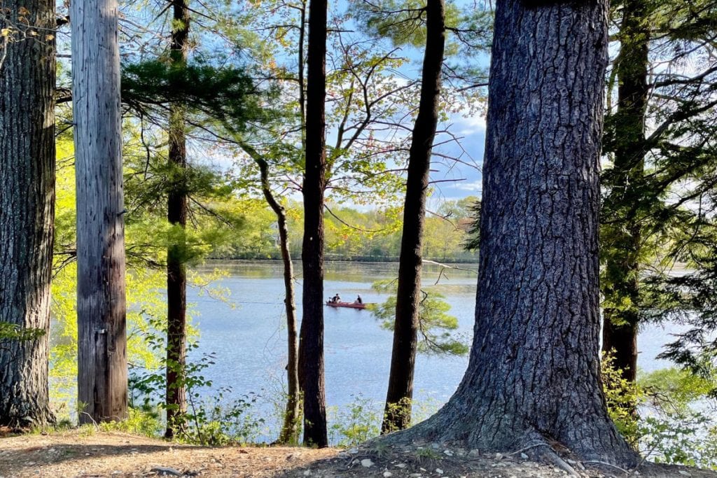 Row boat through the trees on Tuxbury Pond