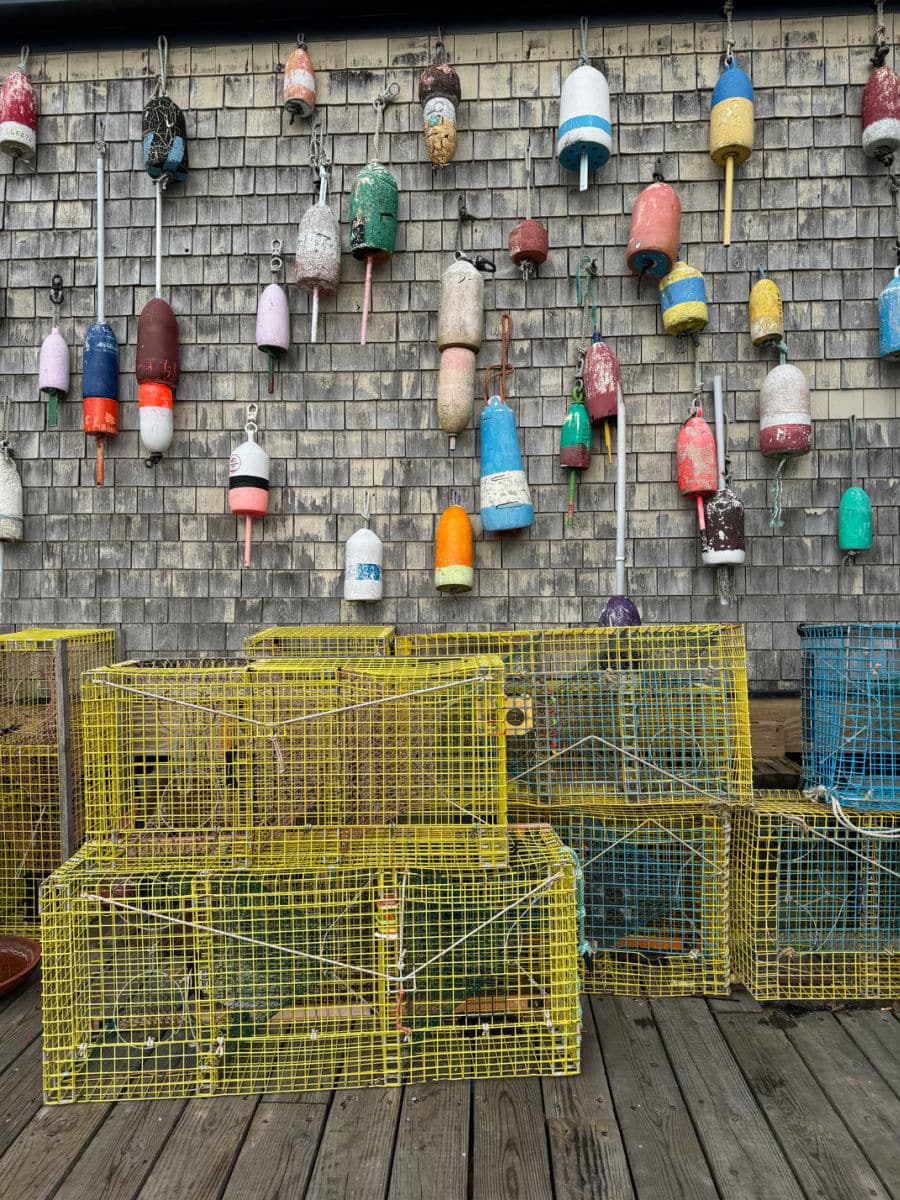 Buoys outside of lukes lobster