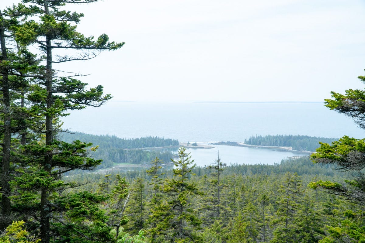 view from the top of Schoodic Mountain