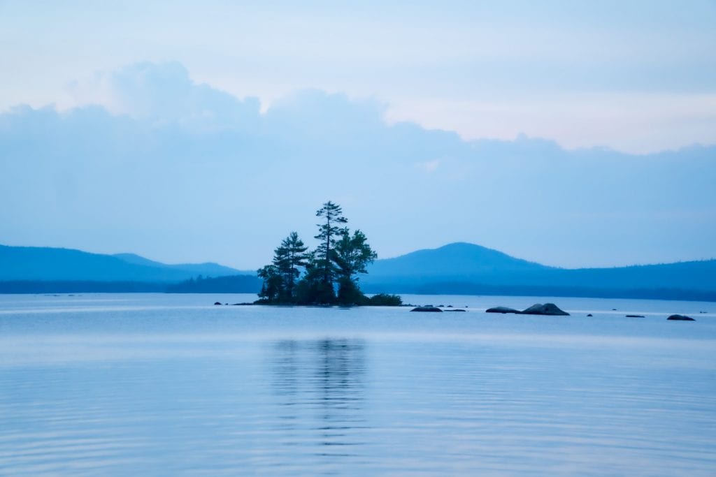 Trees on an island in the middle of Millinocket Lake
