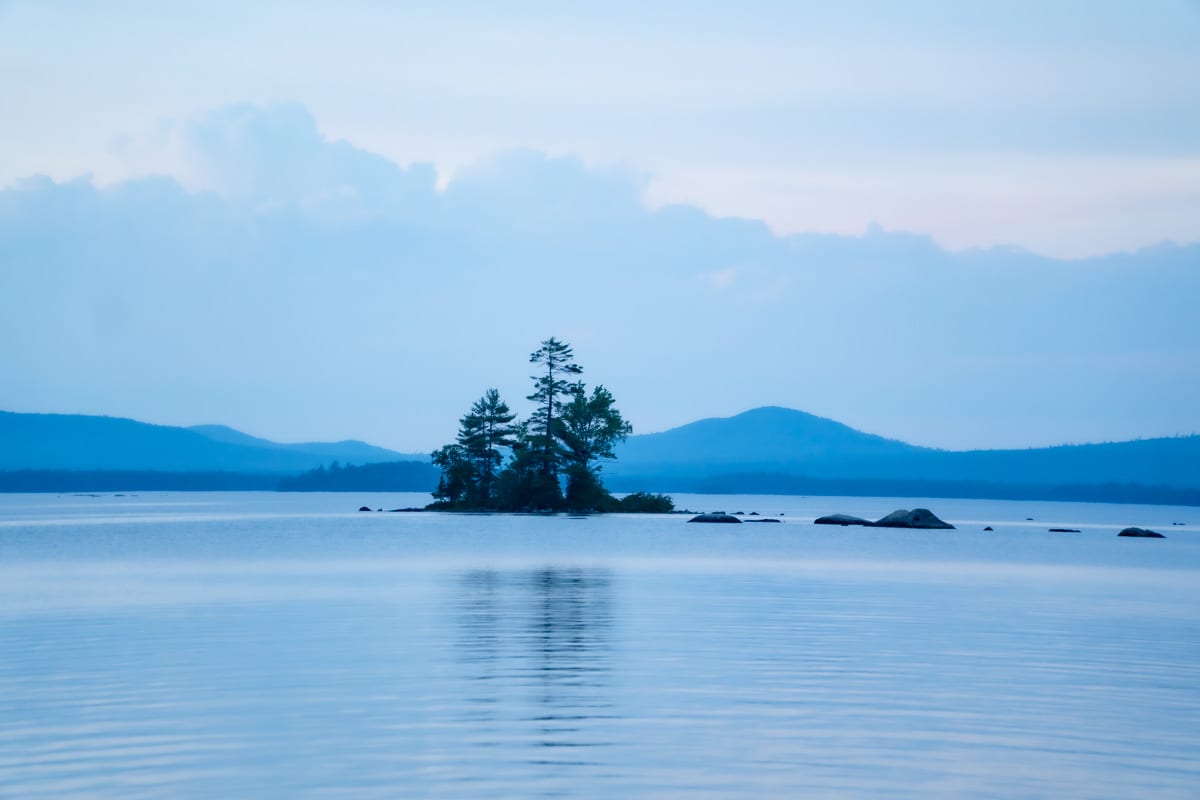 Trees on an island in the middle of Millinocket Lake