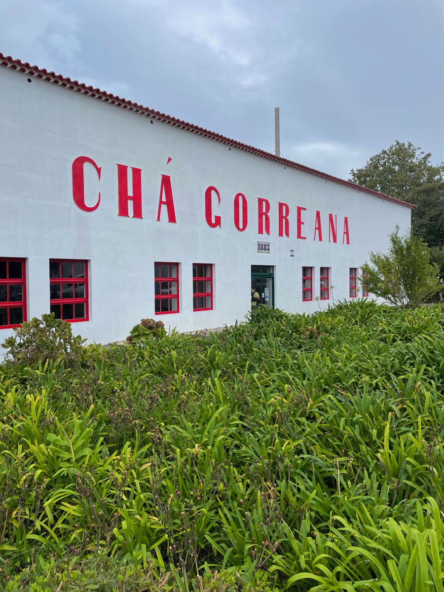 Cha Gorreana tea plantation building on Sao Miguel