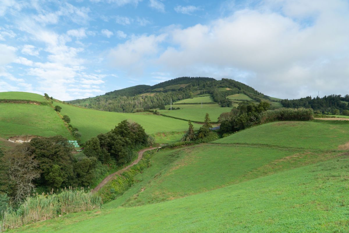Green fields on Sao Miguel