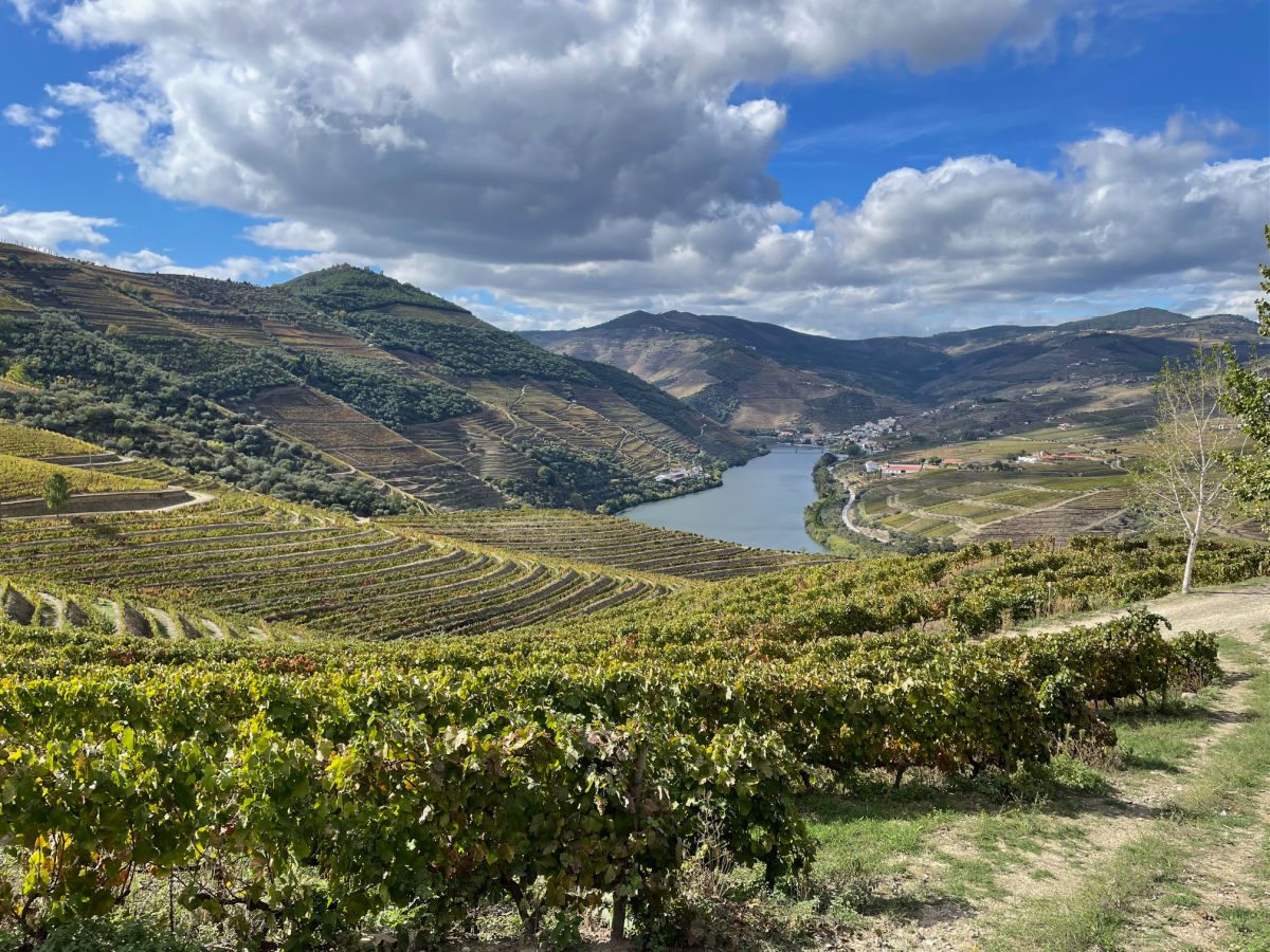 View of the Douro River Valley from Ventozelo Hotel & Quinta