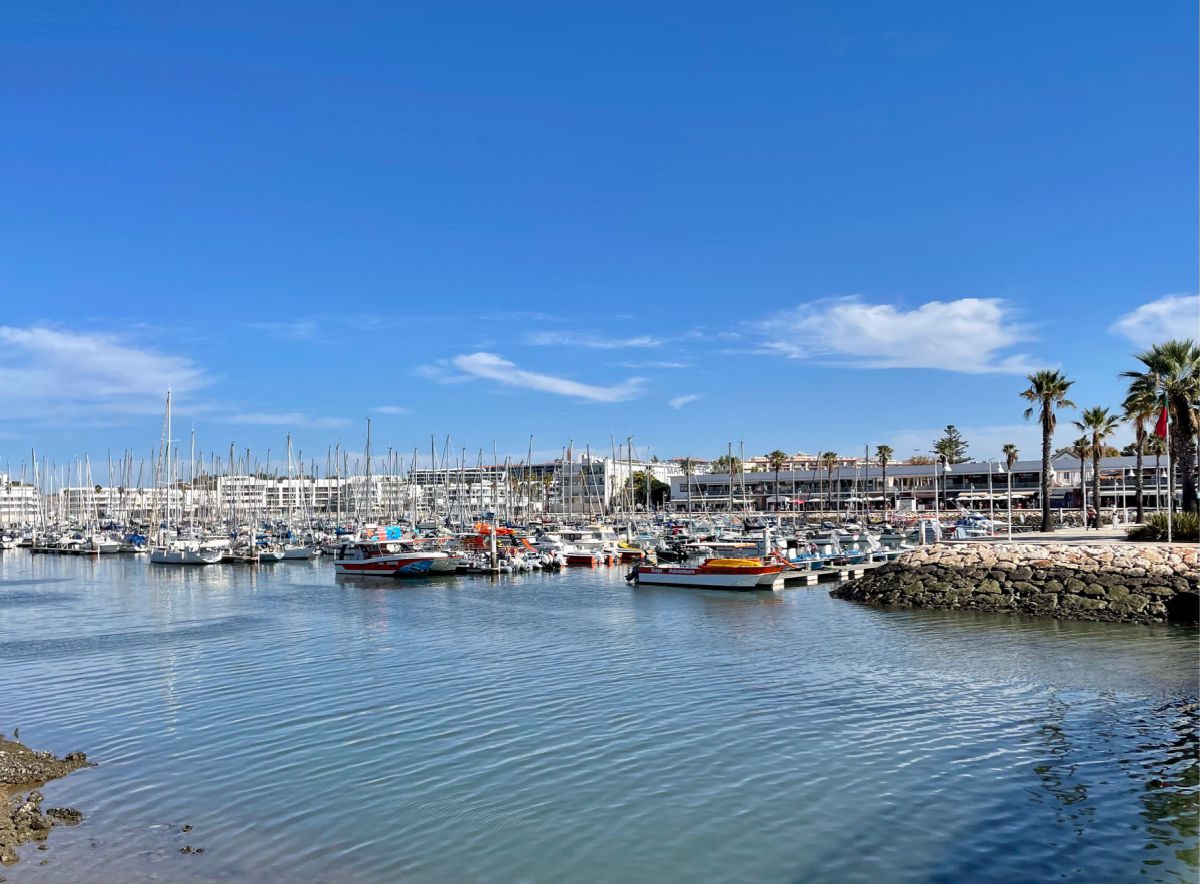 sailboats in the Lagos harbor