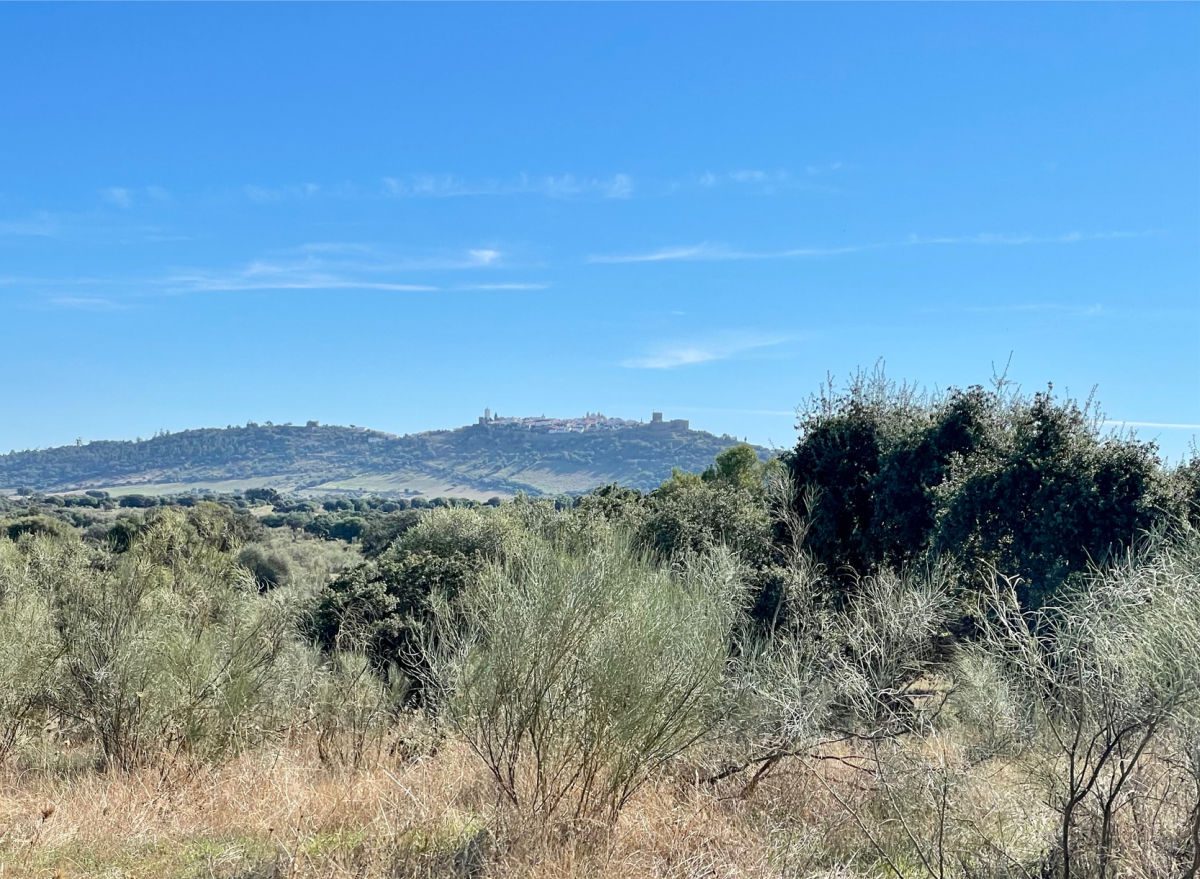 Town of Monsaraz in the distance