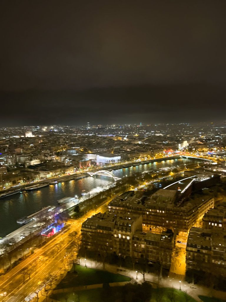 View from the Eiffel Tower at night
