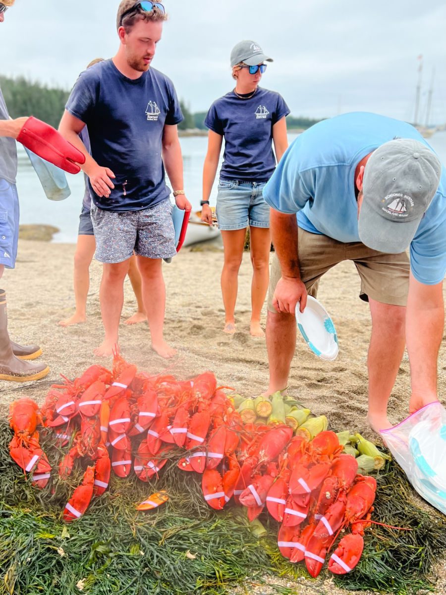 pile of lobsters and corn on the beach