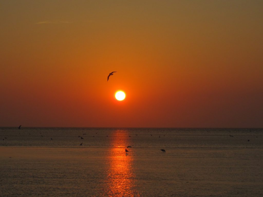Sunset at Skaket Beach