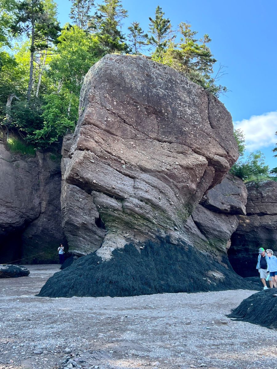 ET Rock at Hopewell Rocks