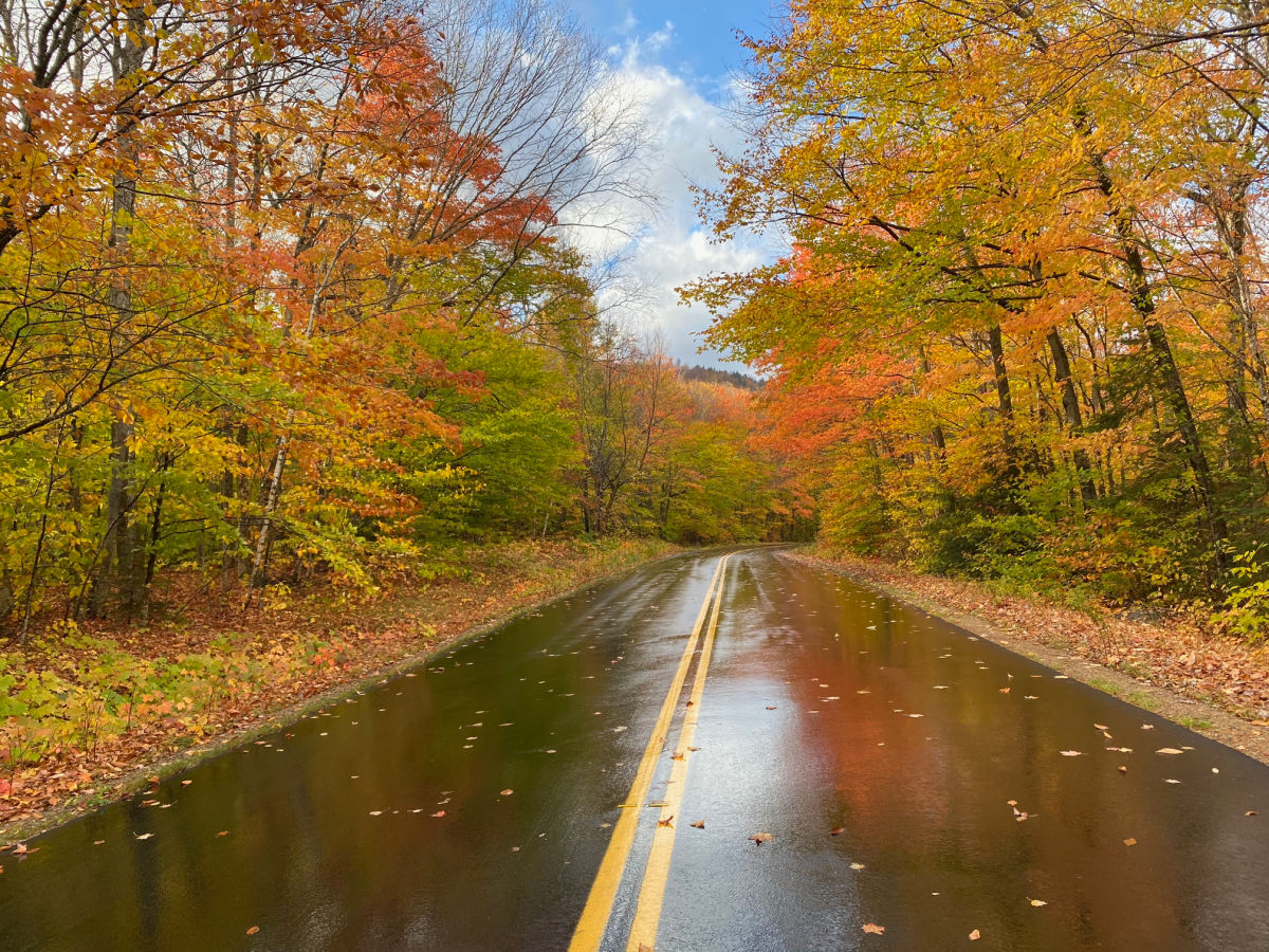 Bear Notch Road in fall