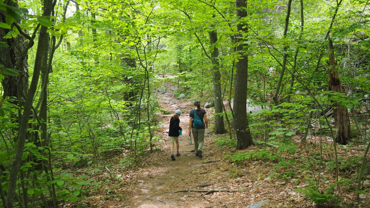 Monument Mountain in the Berkshires Massachusetts