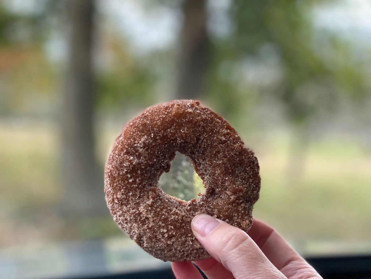apple cider donut