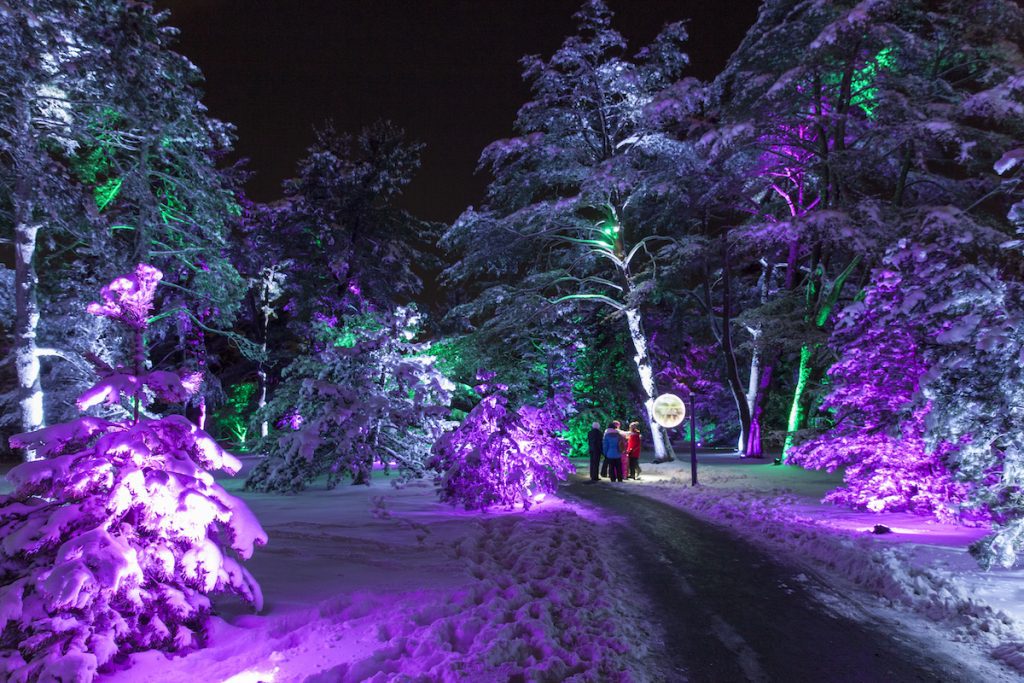 Enchanted Forest at Morton Arboretum