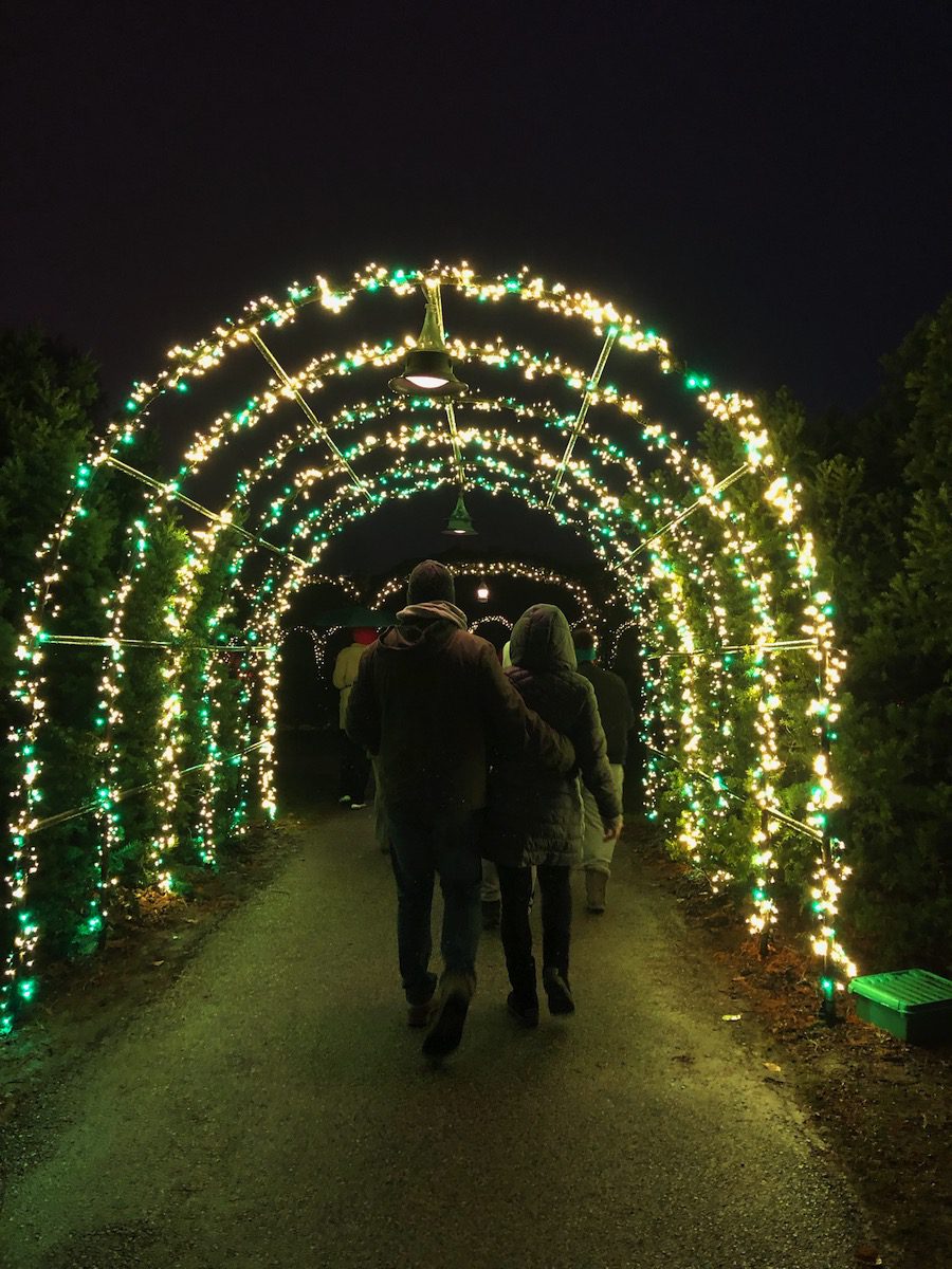 Winter walk arch at Longwood Gardens Christmas