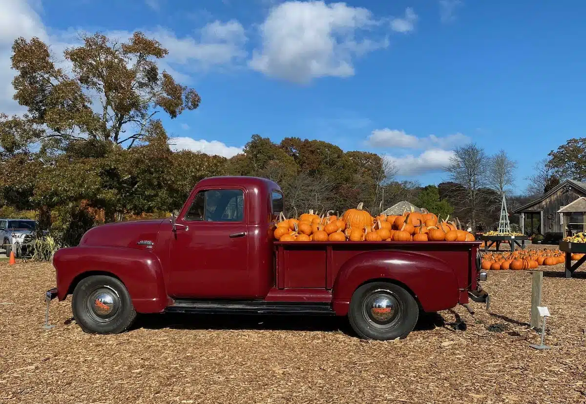Red pick up truck full of pumpkins