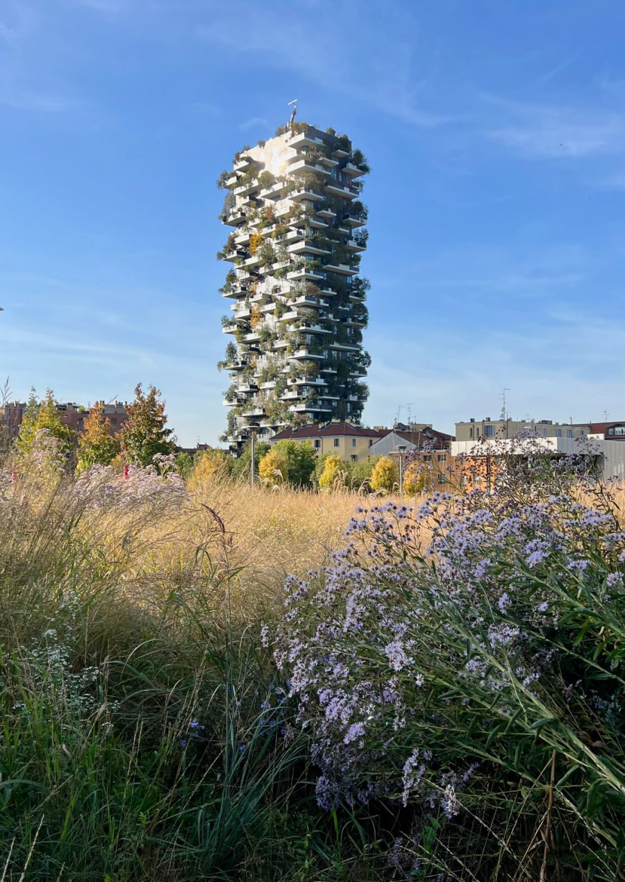 Skyscraper Building in Milan with green on balconies