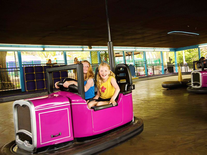 Bumper cars at Dutch Wonderland