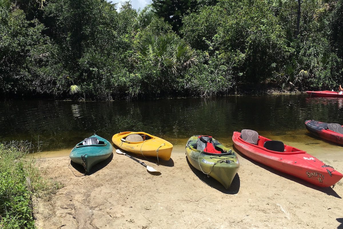 Kayak through Brevard Zoo