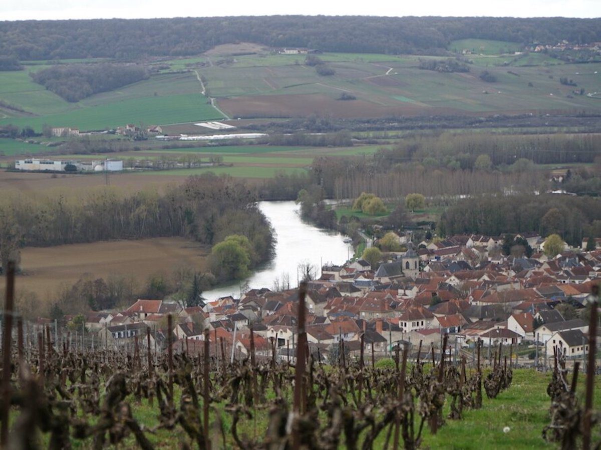 Vineyards in Champagne