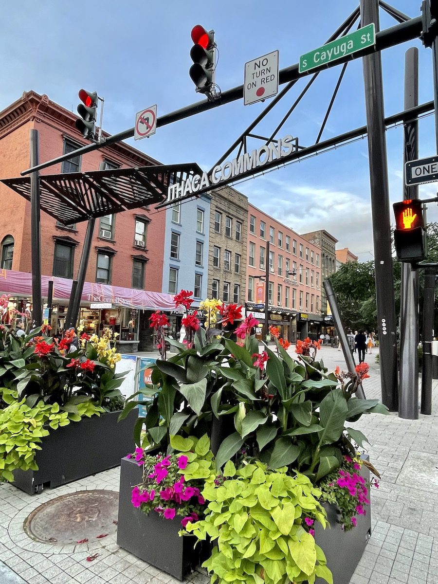 Ithaca Commons