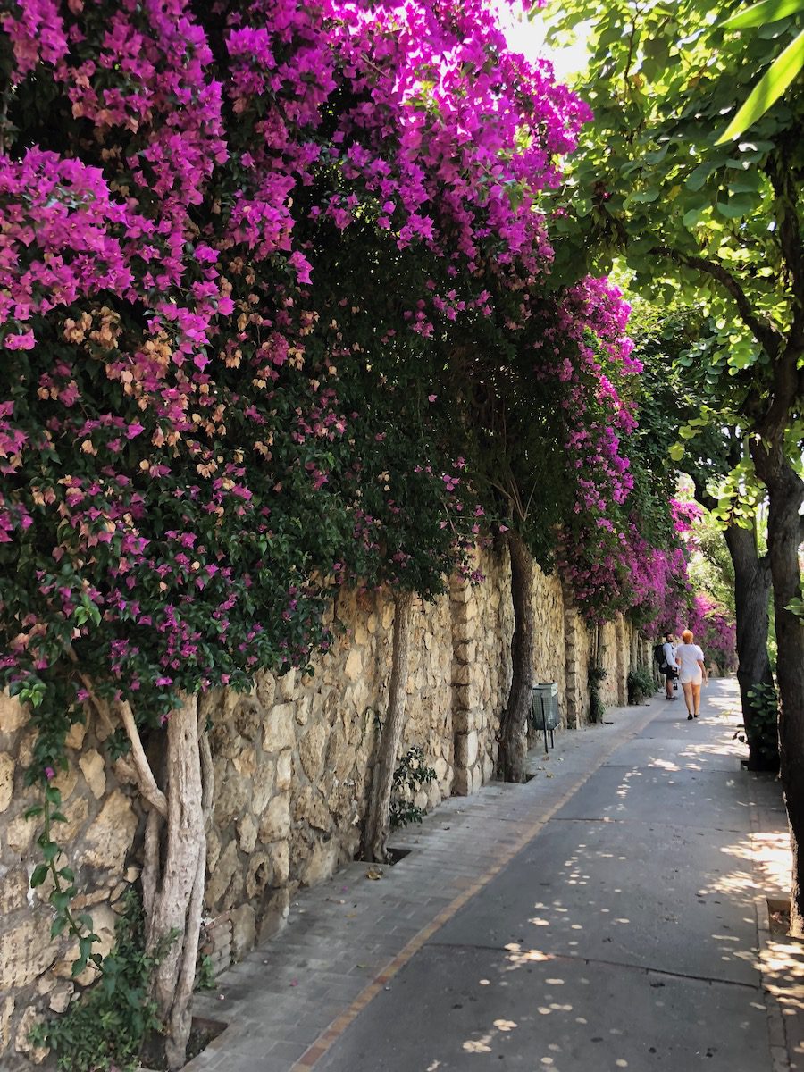 Via Tragara