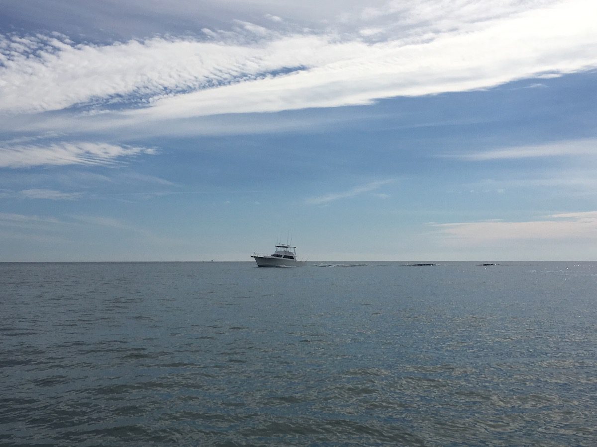 Fishing boat on the water