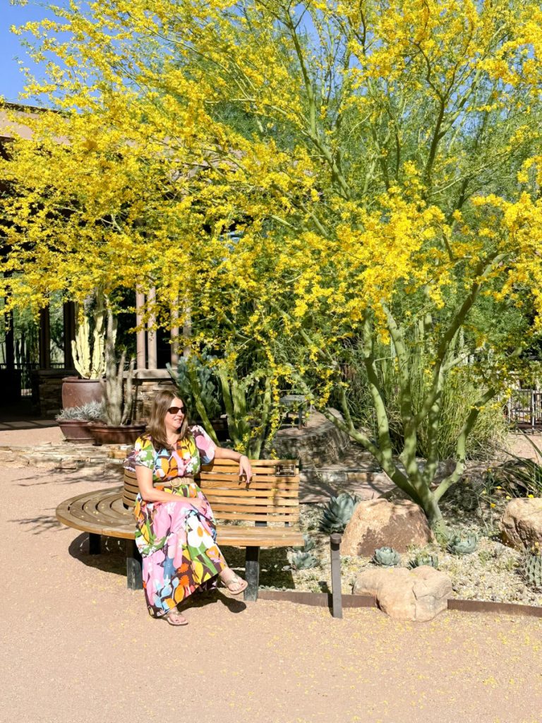Tamara sitting under palo verde tree