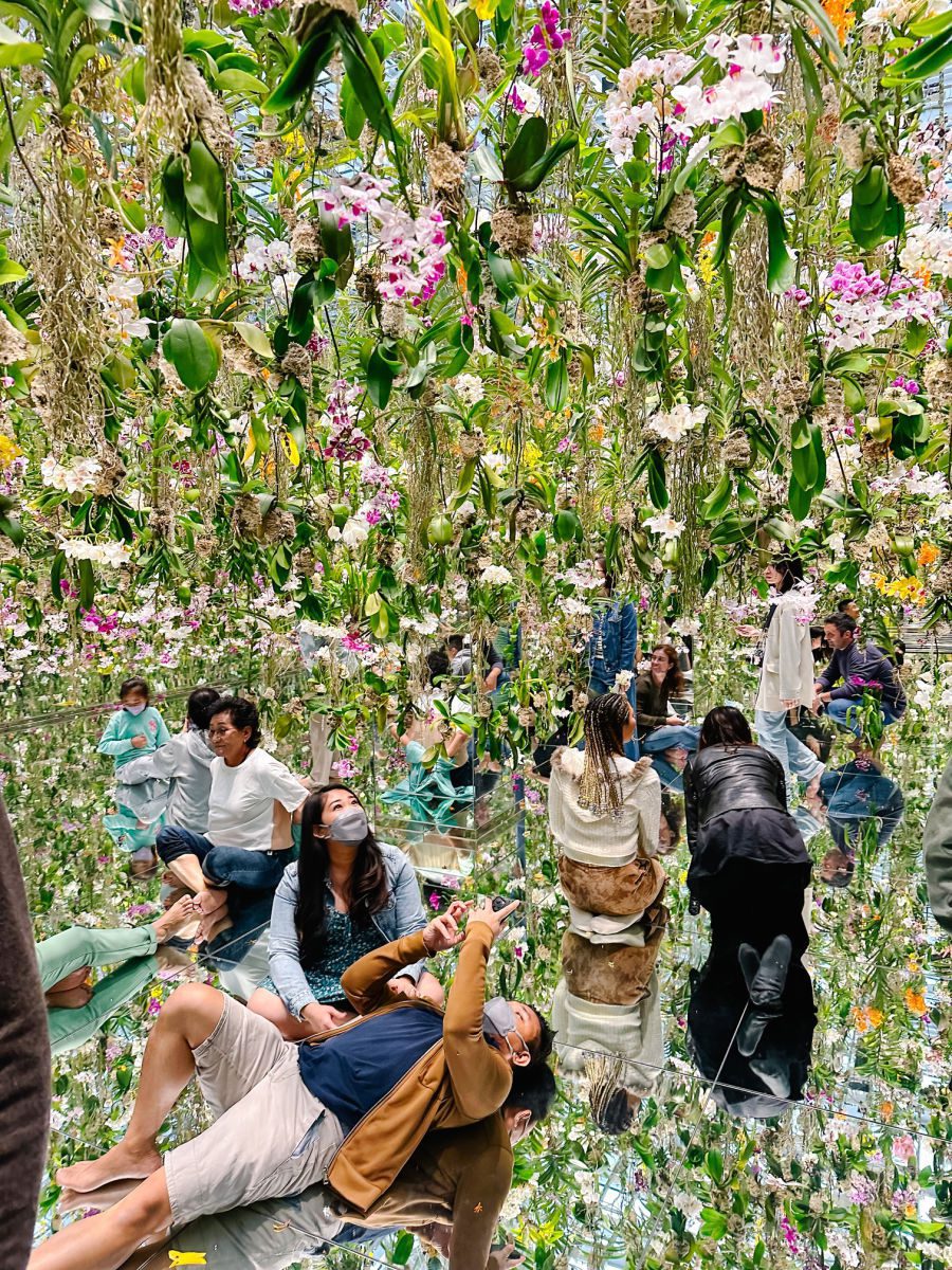 TeamLab Planets flowers