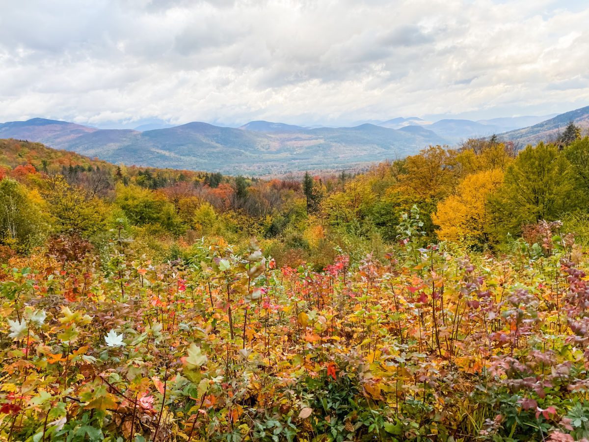 Bear Notch Road Overlook