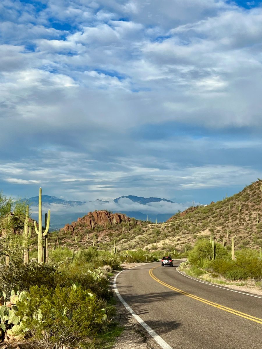 Car driving through Saguaro National Park