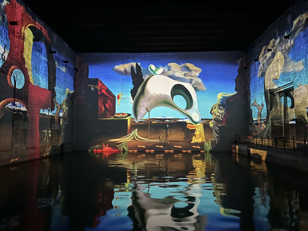 Dali exhibit at Bassins des Lumières