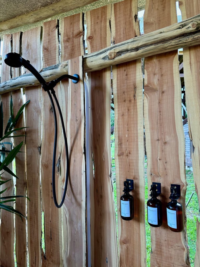 shower head and shower amenities