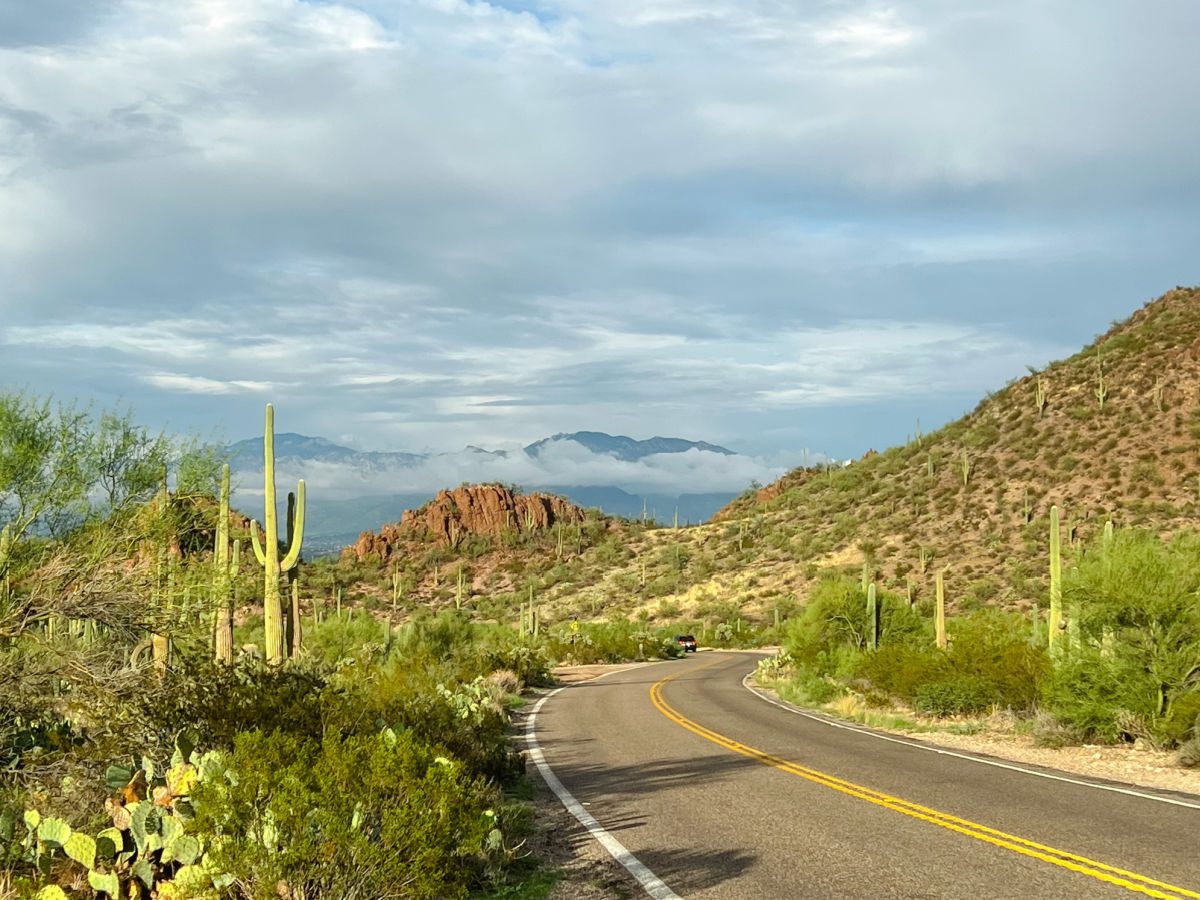 Road through Saguaro National Park