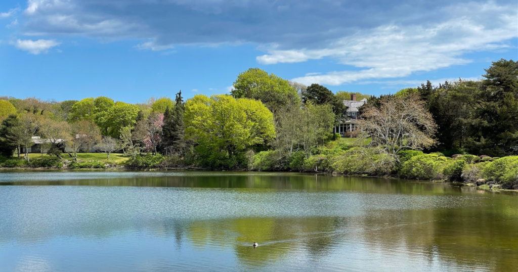 Salt water pond