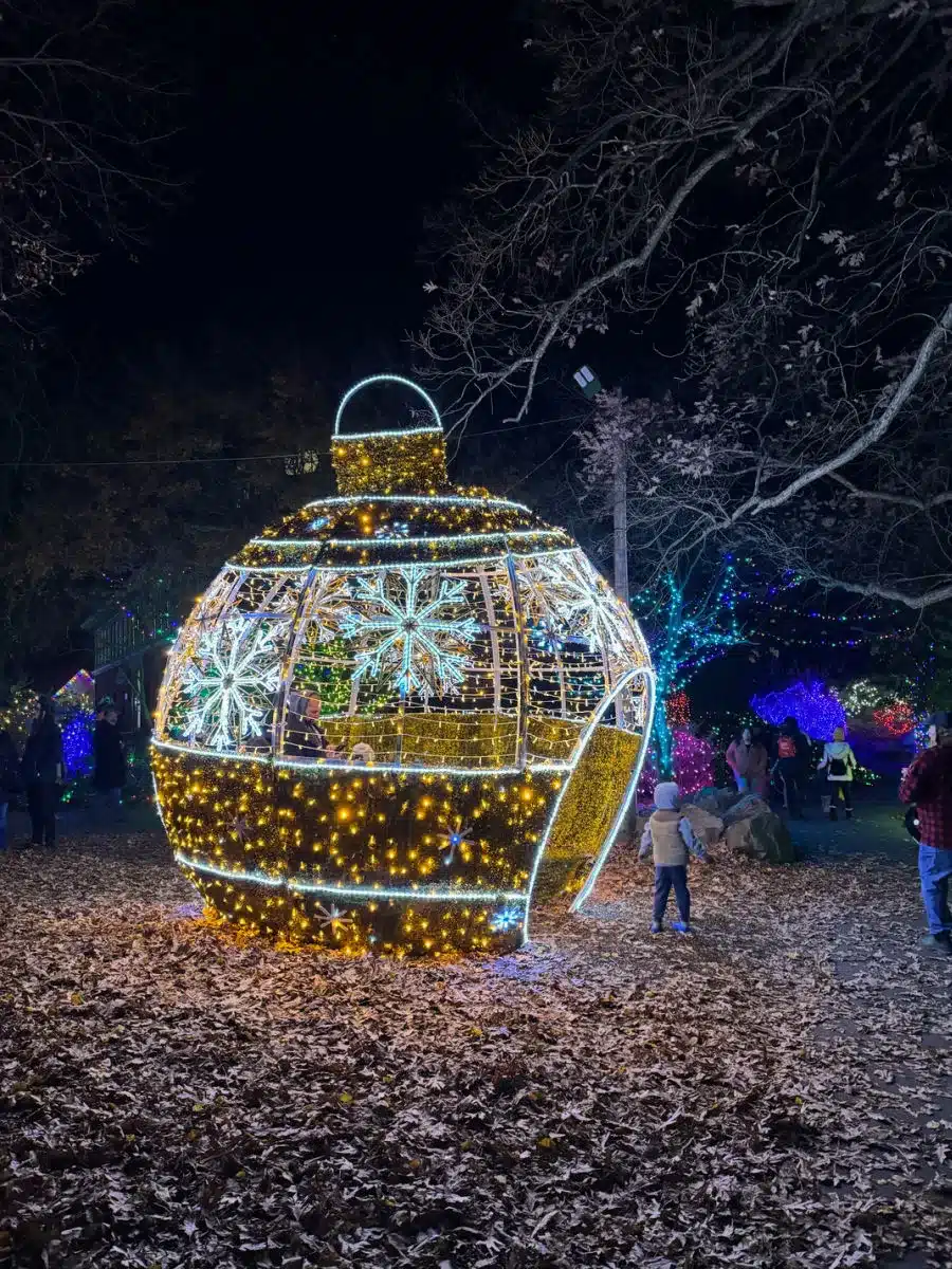 Holiday lights at Roger Williams Park and Zoo