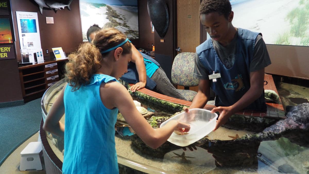 Virginia Living Museum touch tank