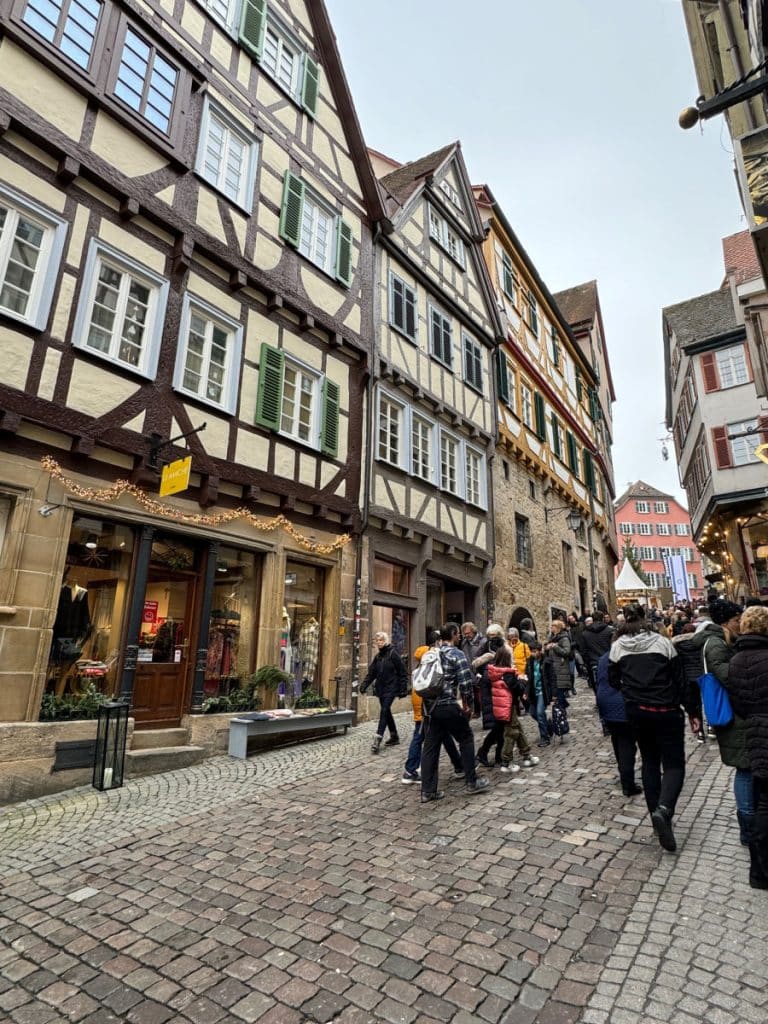 half timbered houses in Tubinge