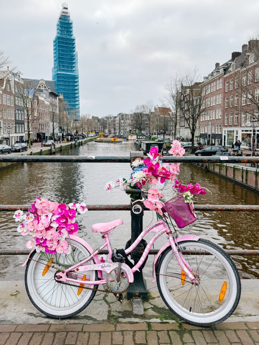 pink flower bike by canal in Amsterdam