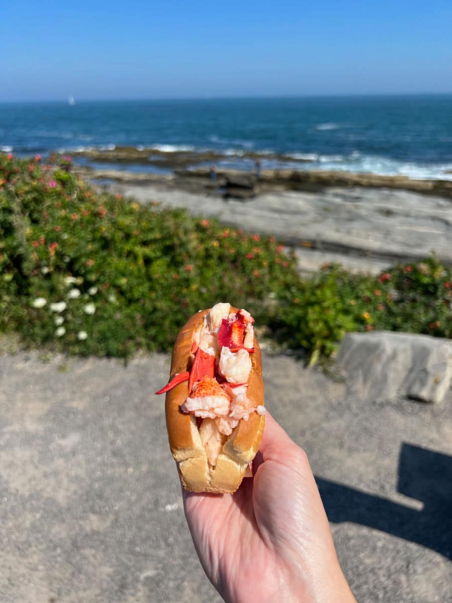 Lobster roll from two Lights lobster shack in Cape Elizabeth Maine