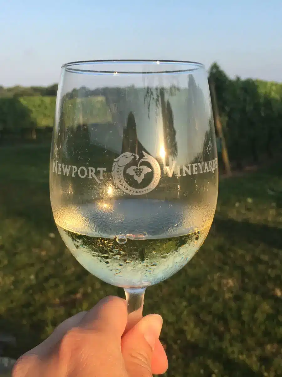 Newport Vineyards glass