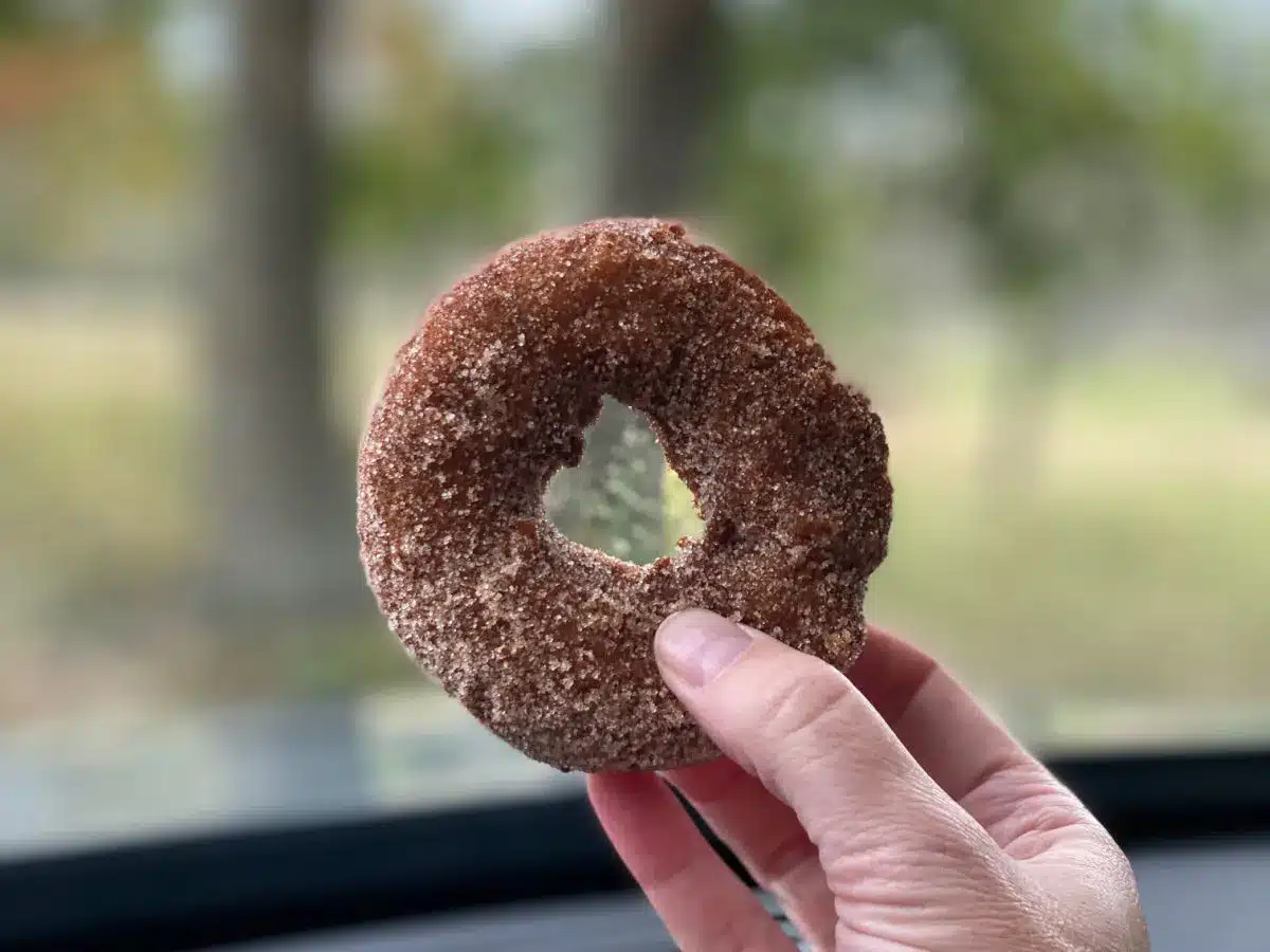 apple cider donuts