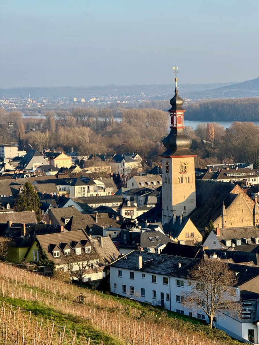 Rudemschein am Rhein