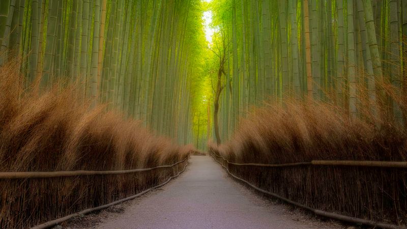 Kyoto, Japan