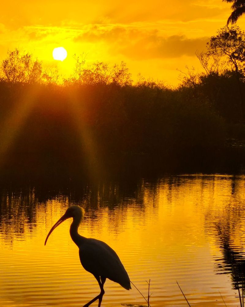 Everglades National Park