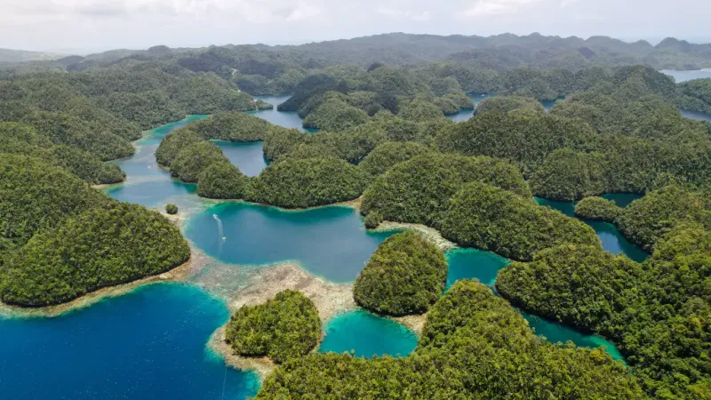 Surigao City