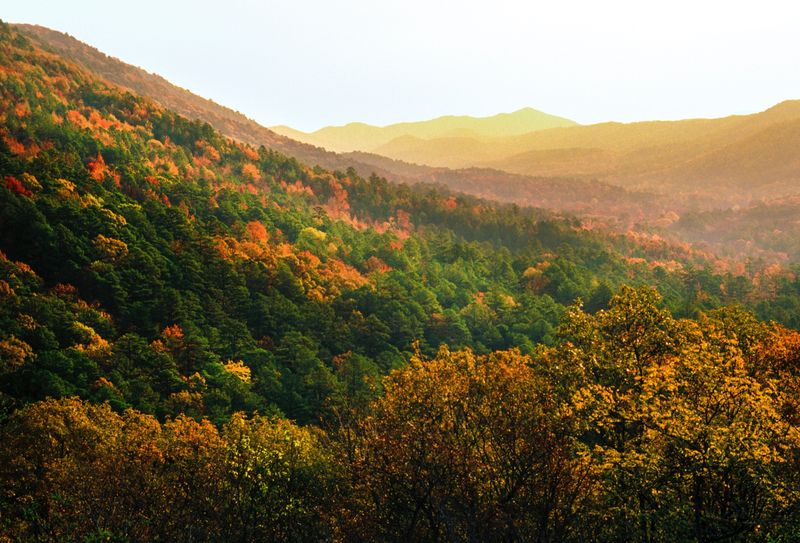 Ouachita National Forest