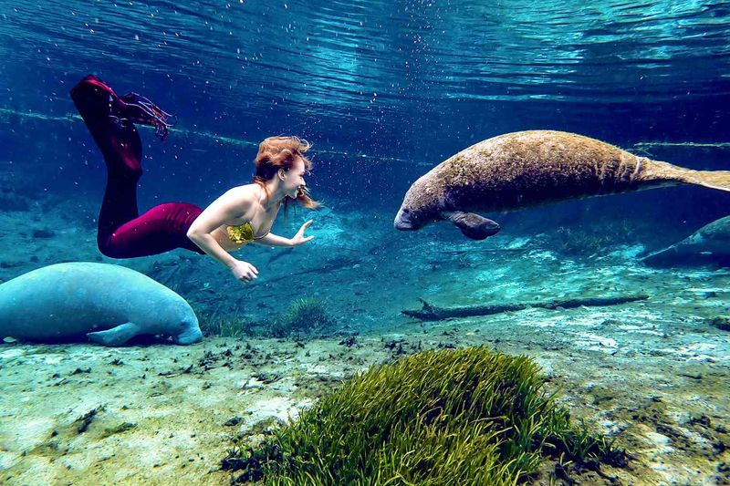 Weeki Wachee Springs